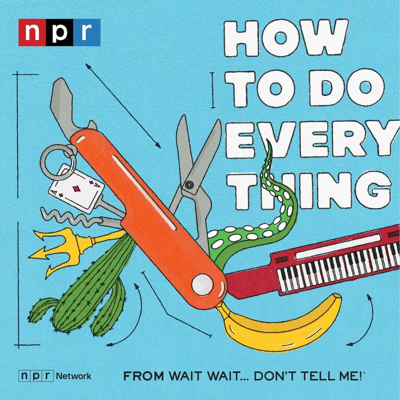 How To Do Everything artwork