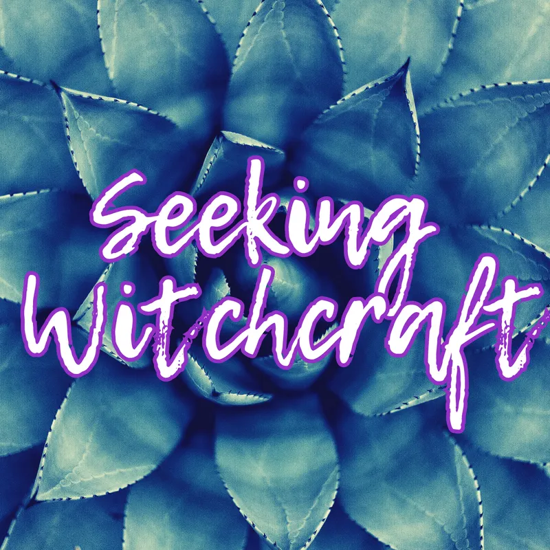 Seeking Witchcraft artwork