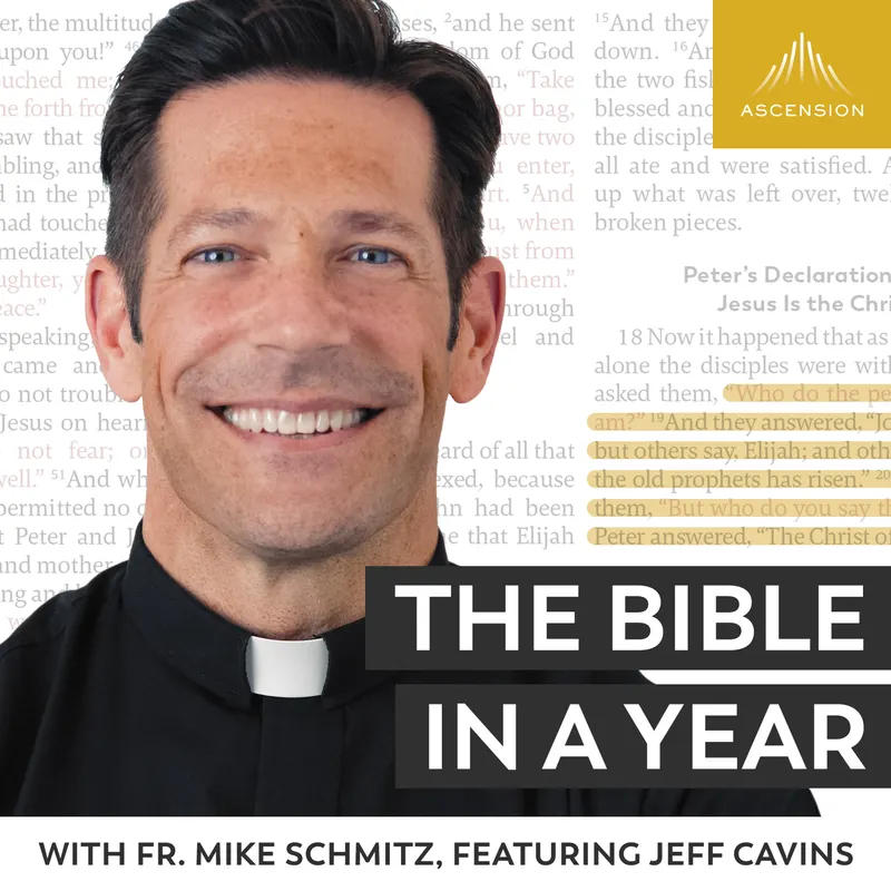 The Bible in a Year (with Fr. Mike Schmitz) artwork