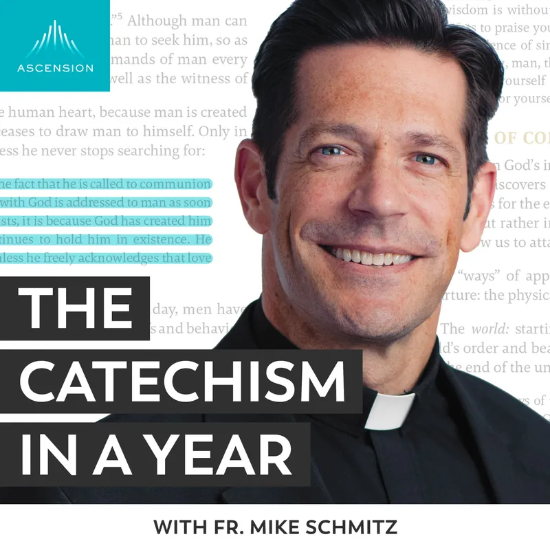 The Catechism in a Year (with Fr. Mike Schmitz) artwork