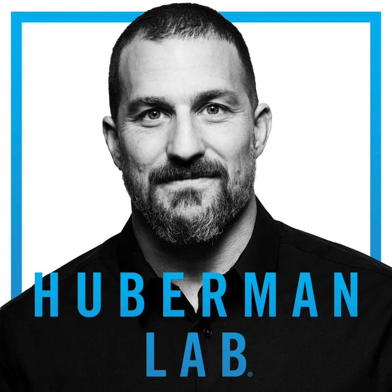 Huberman Lab artwork