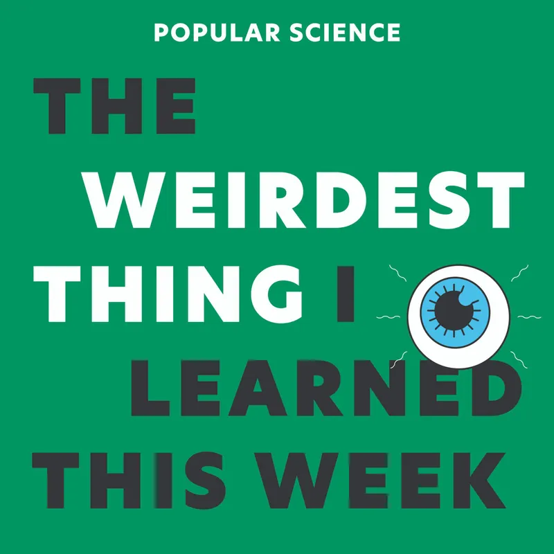 The Weirdest Thing I Learned This Week artwork