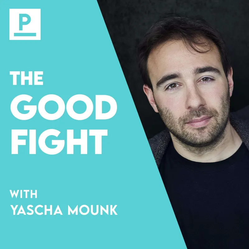 The Good Fight artwork