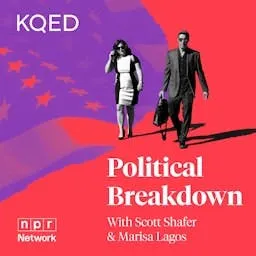 Political Breakdown artwork