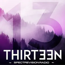 Thirteen artwork