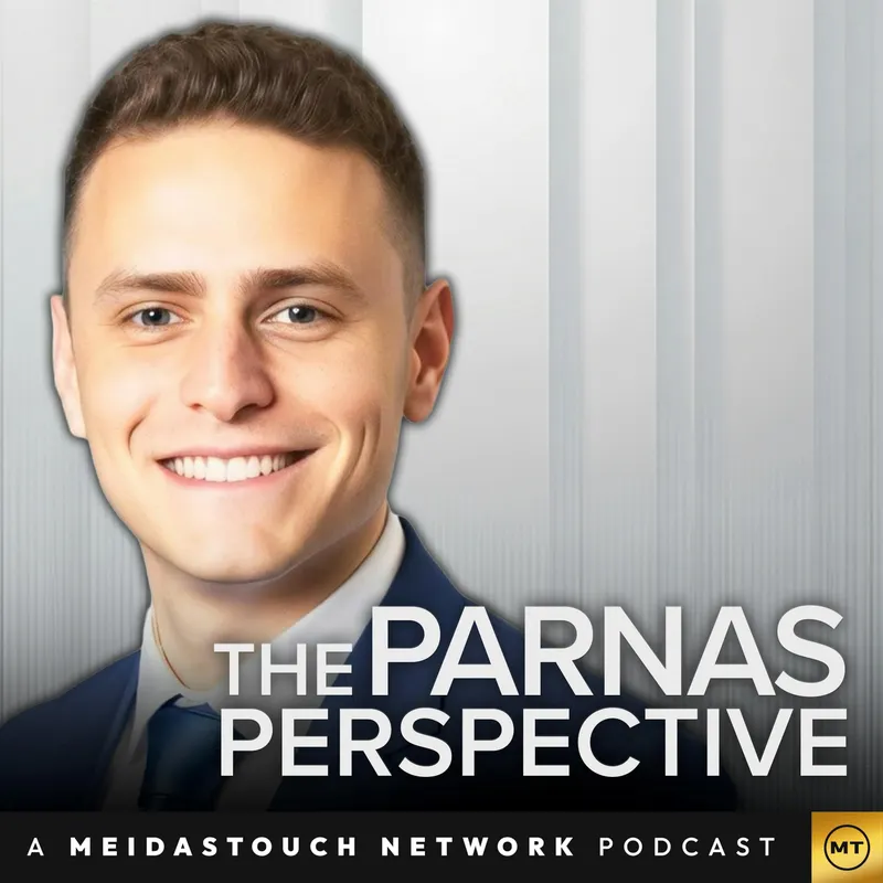 The Parnas Perspective artwork