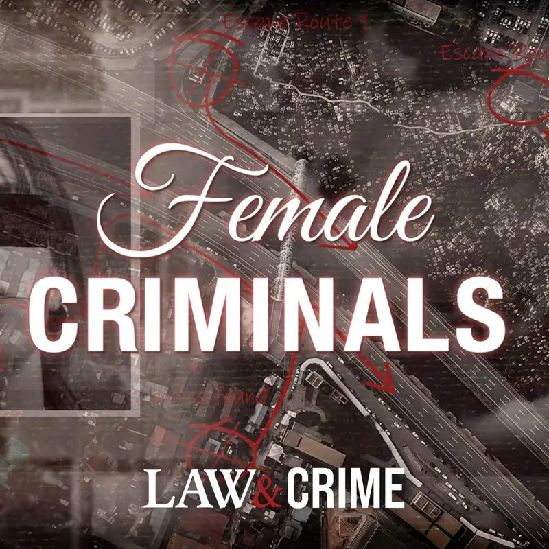Female Criminals artwork