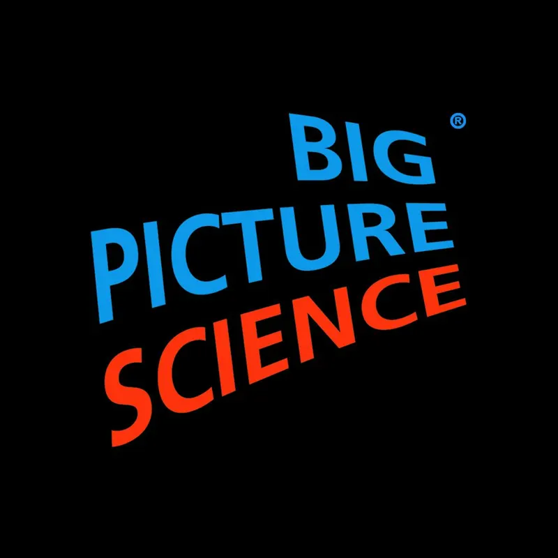 Big Picture Science artwork