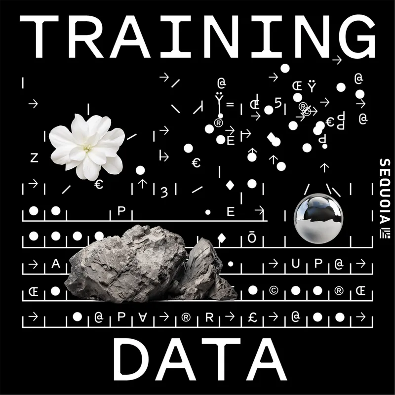 Training Data artwork