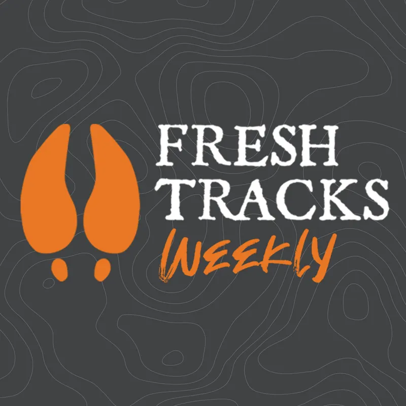 Fresh Tracks Weekly artwork