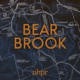 Bear Brook artwork
