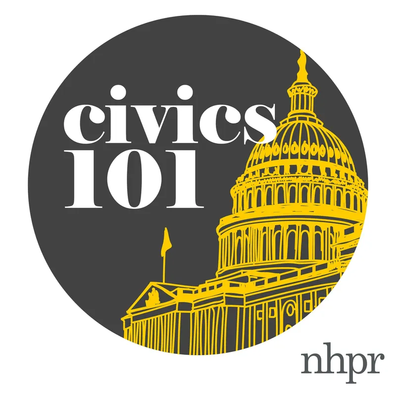Civics 101 artwork