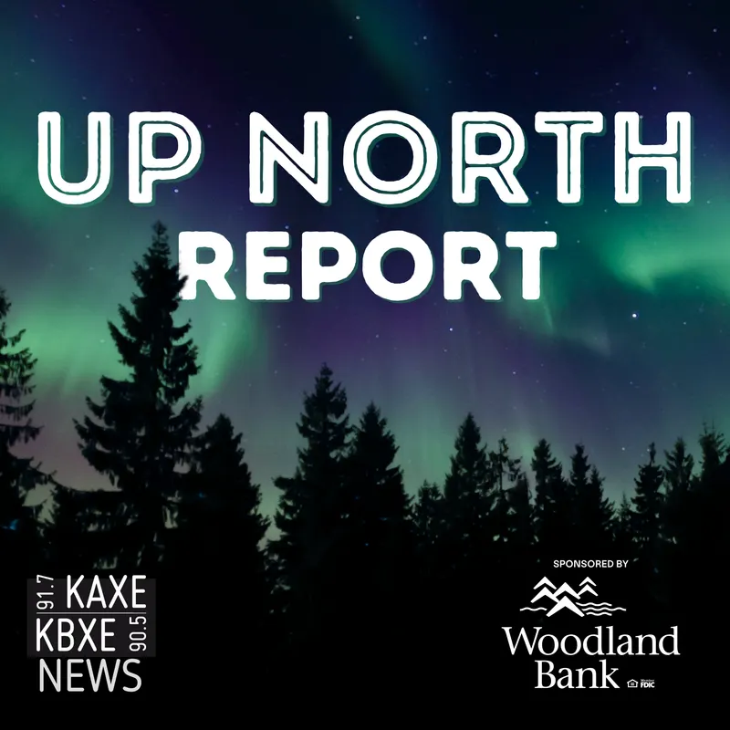 Up North Report artwork