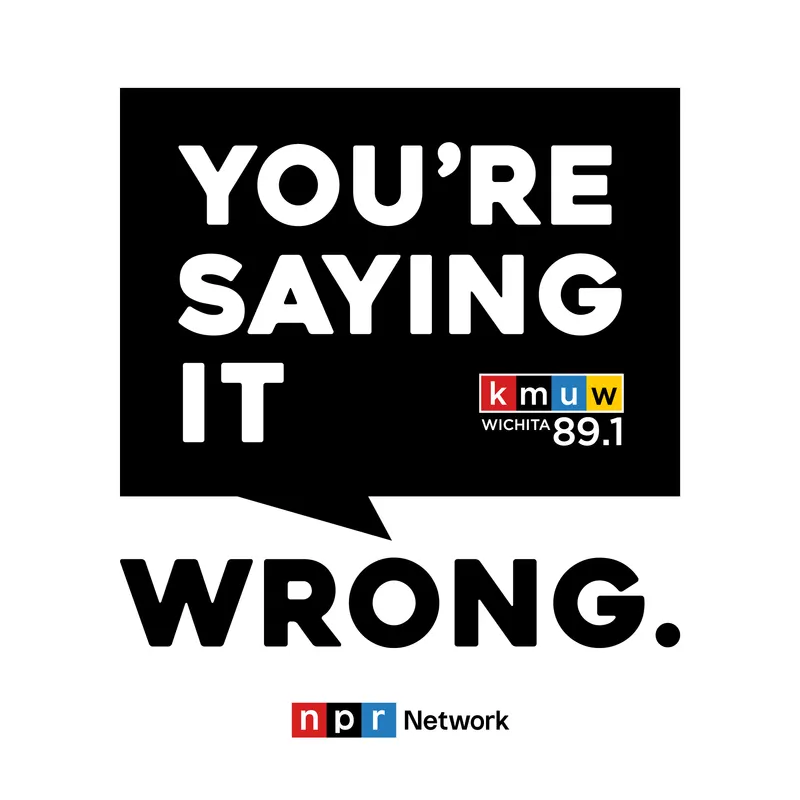 You're Saying It Wrong artwork