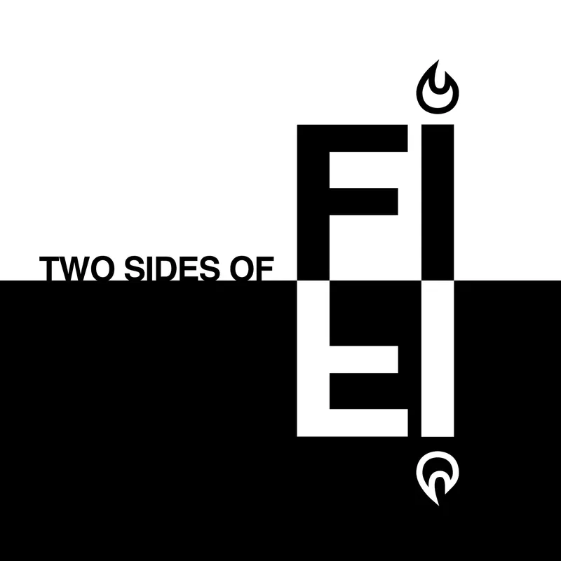 Two Sides of FI artwork