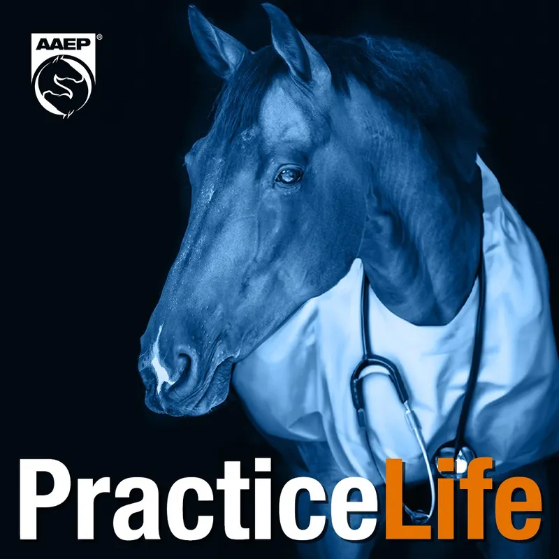 AAEP Practice Life artwork