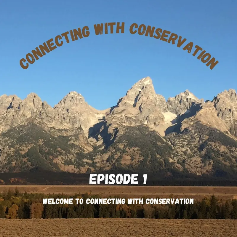 Connecting with Conservation artwork