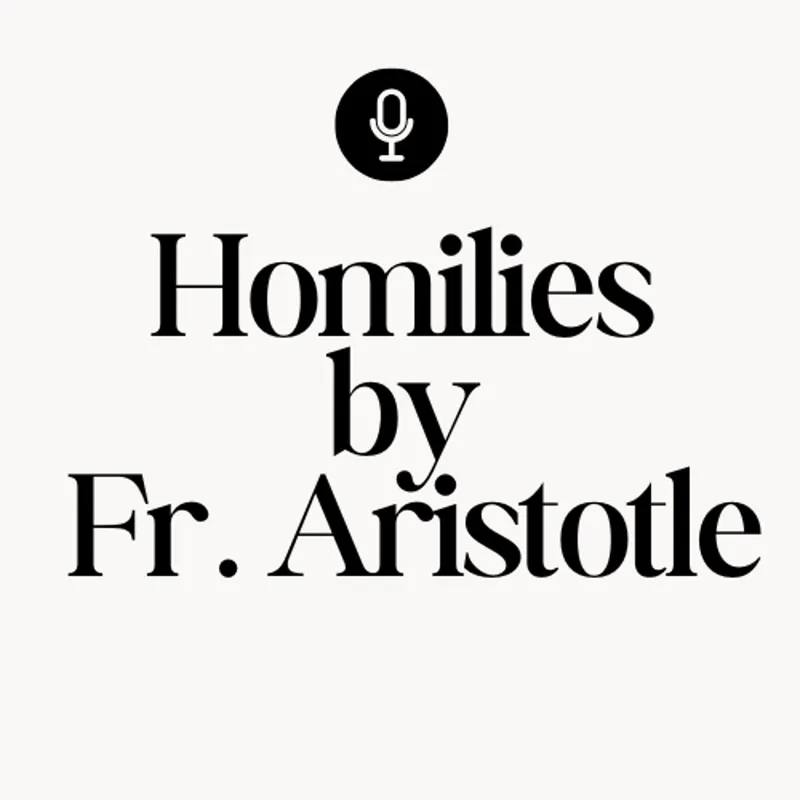 Sunday and Daily Mass Homilies by Fr. Aristotle artwork