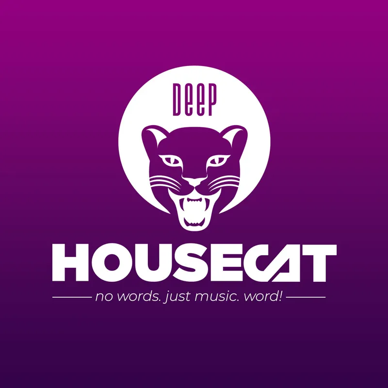 Deep House Cat artwork