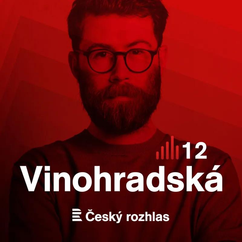 Vinohradská 12 artwork