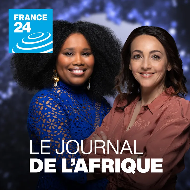 Journal de l'Afrique artwork