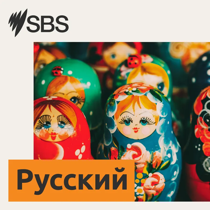SBS Russian - SBS на русском языке artwork