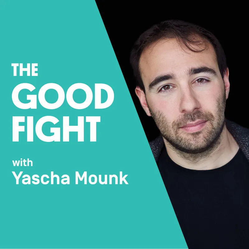 The Good Fight artwork