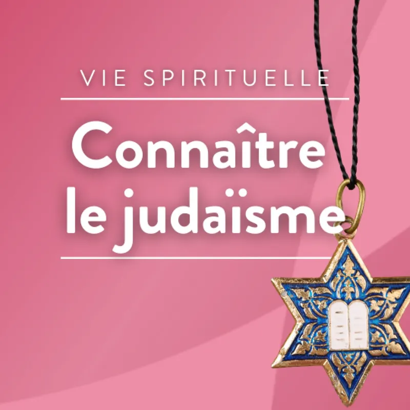 Connaître le judaïsme artwork