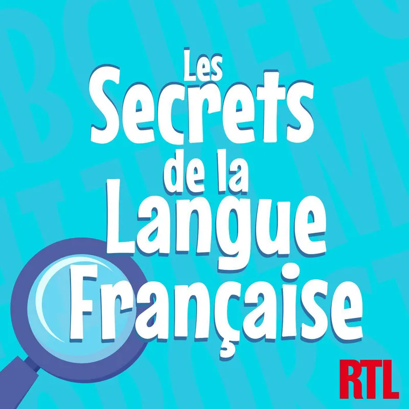 Les secrets de la langue française : orthographe, grammaire et conjugaison artwork