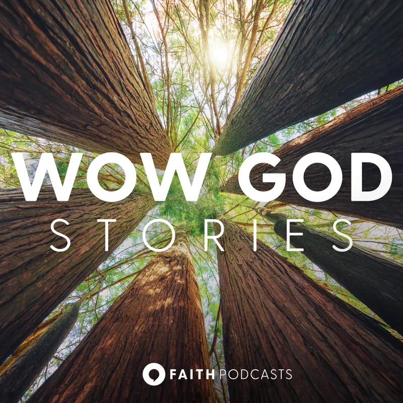 Wow God Stories artwork