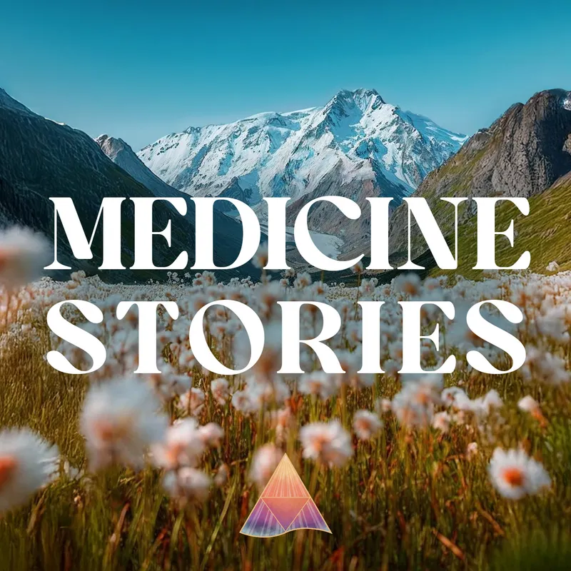 Medicine Stories artwork