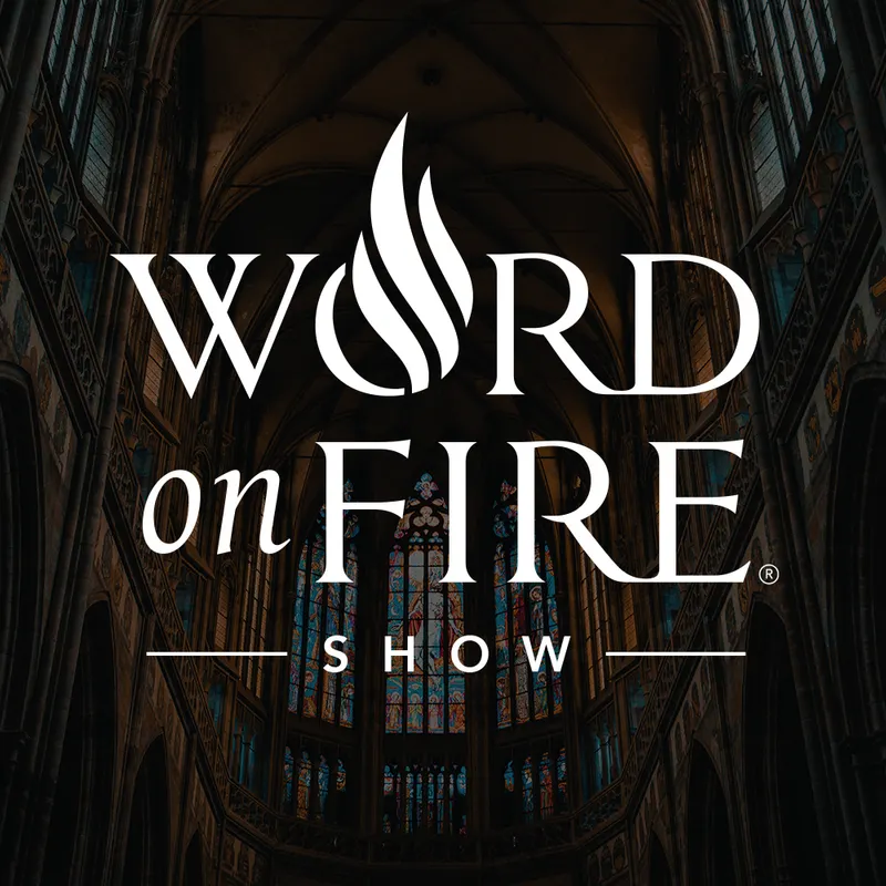 The Word on Fire Show - Catholic Faith and Culture artwork