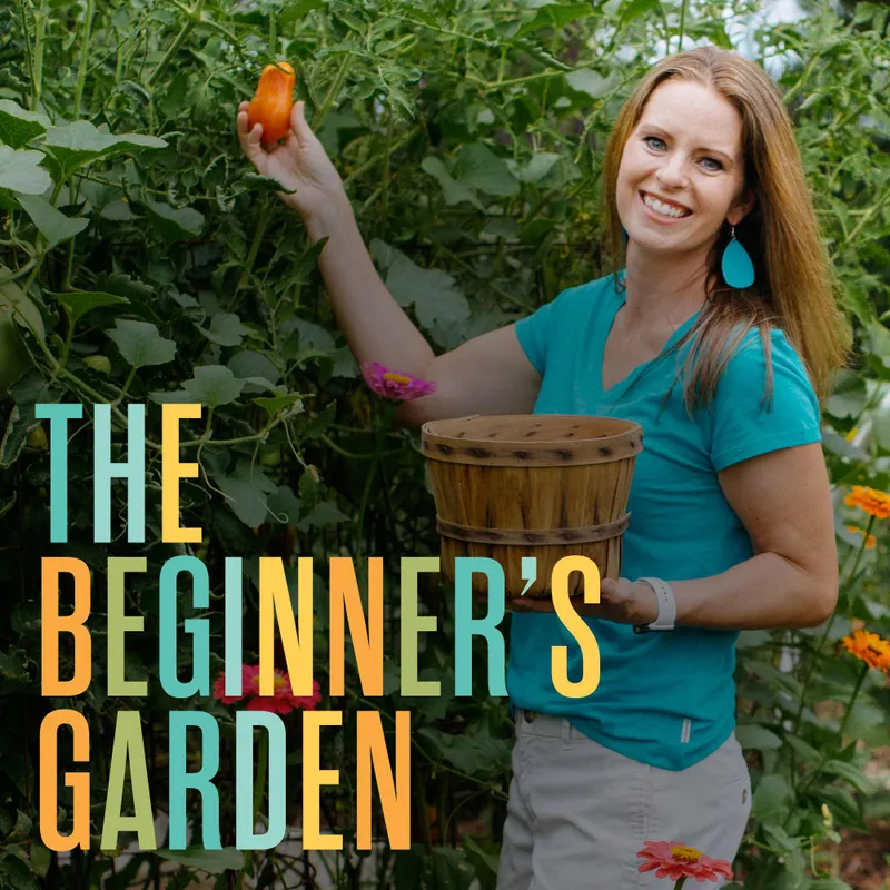 The Beginner's Garden with Jill McSheehy artwork