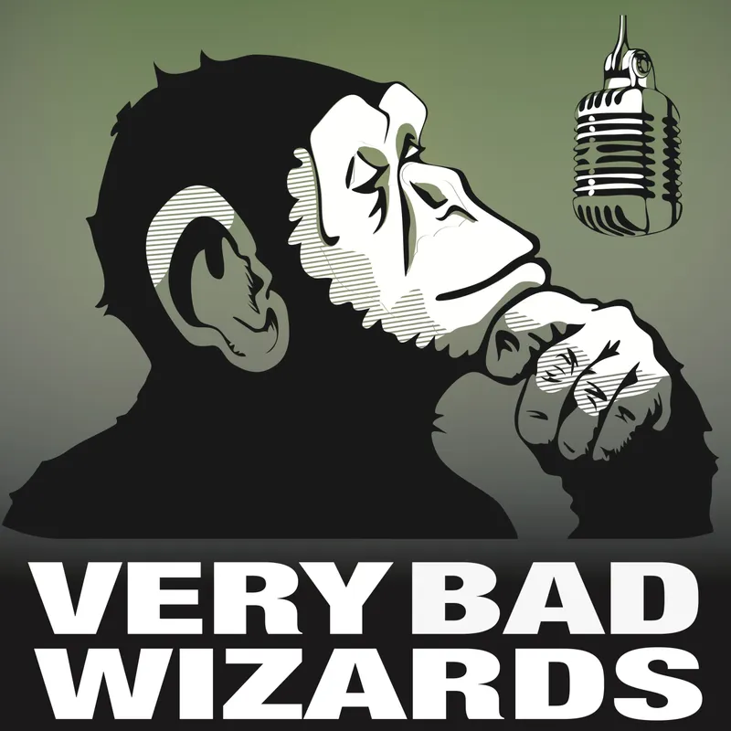 Very Bad Wizards artwork