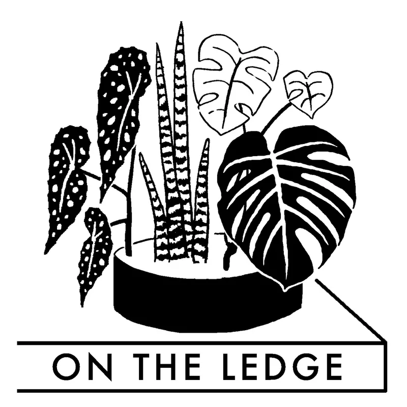 On The Ledge | Grow houseplants with the experts artwork