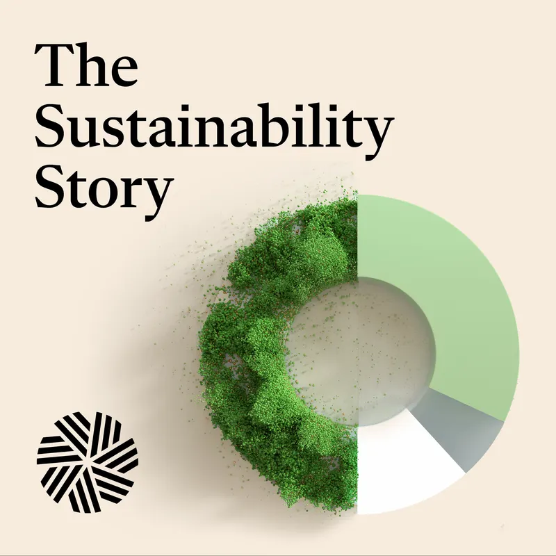 The Sustainability Story artwork