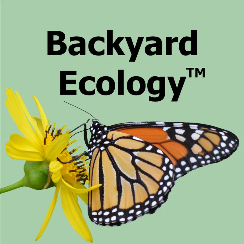 Backyard Ecology™ artwork