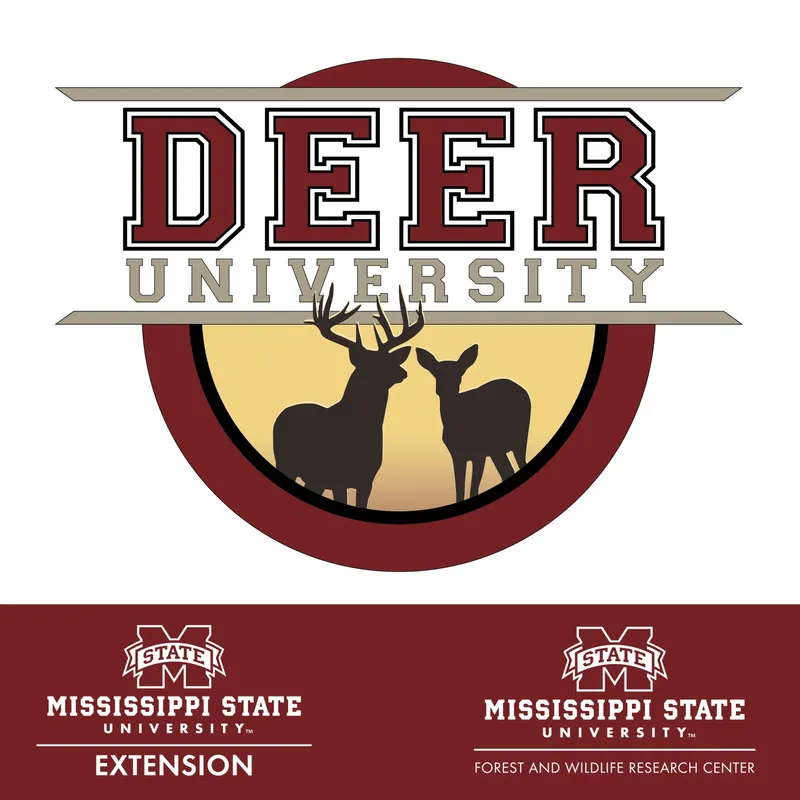Deer University artwork
