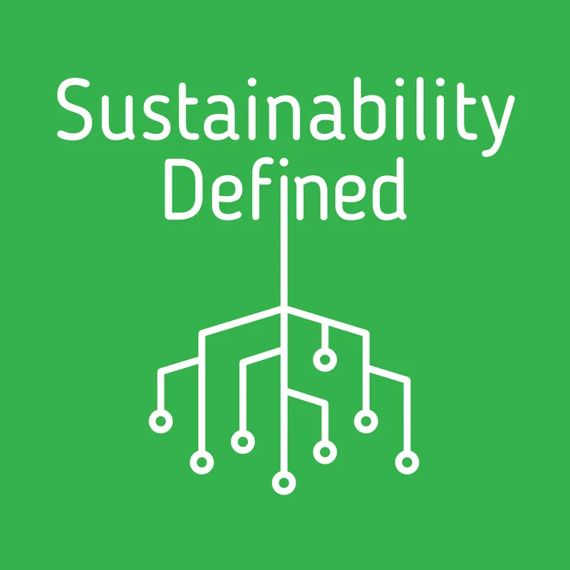 Sustainability Defined artwork