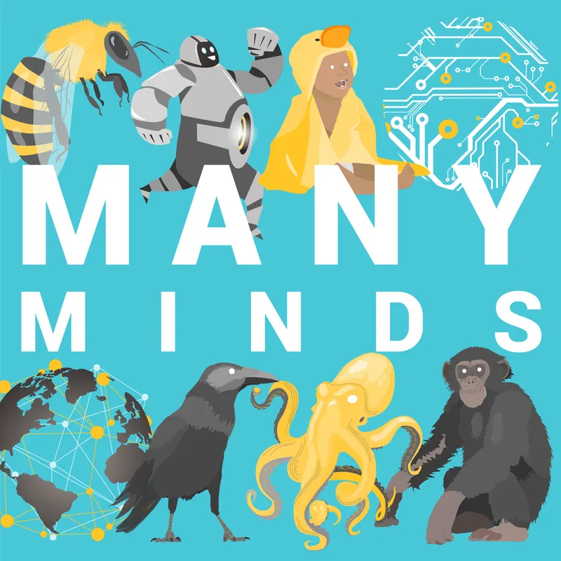 Many Minds artwork