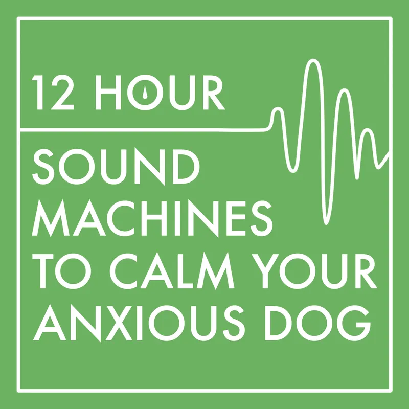 12 Hour Sound Machines to Calm Your Anxious Dog artwork