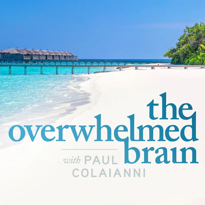 The Overwhelmed Brain artwork