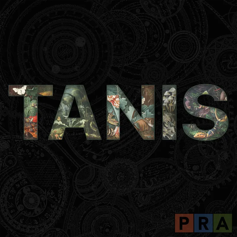 TANIS artwork
