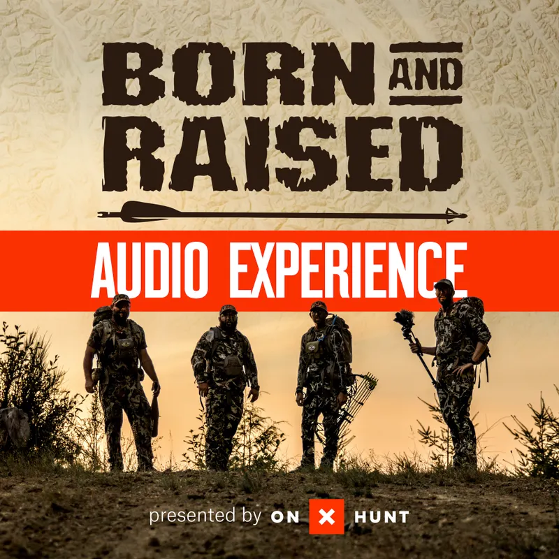 The Born And Raised Audio Experience artwork
