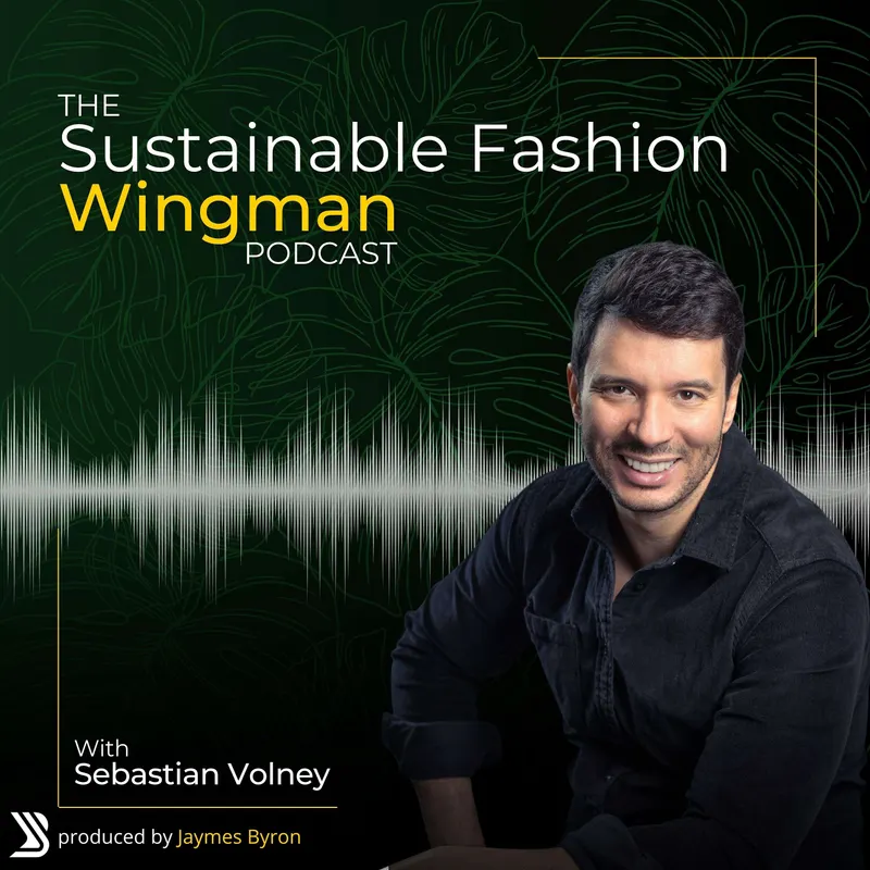 The Sustainable Fashion Wingman artwork