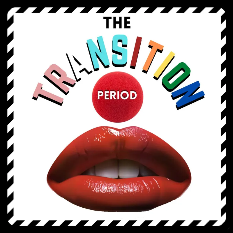 The Transition Period artwork