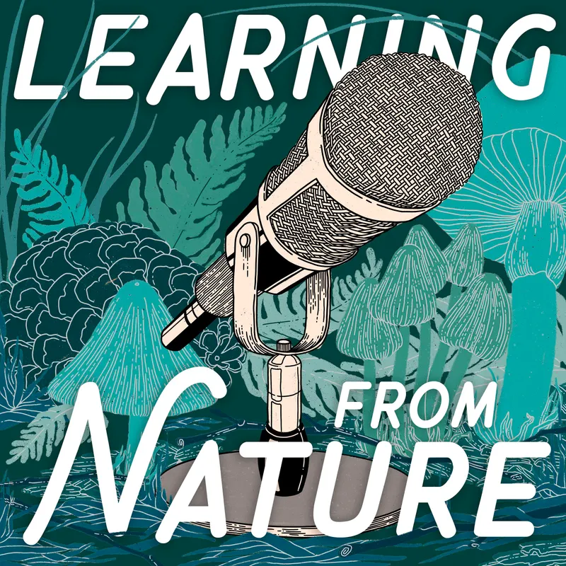 Learning from Nature: The Biomimicry Podcast with Lily Urmann artwork