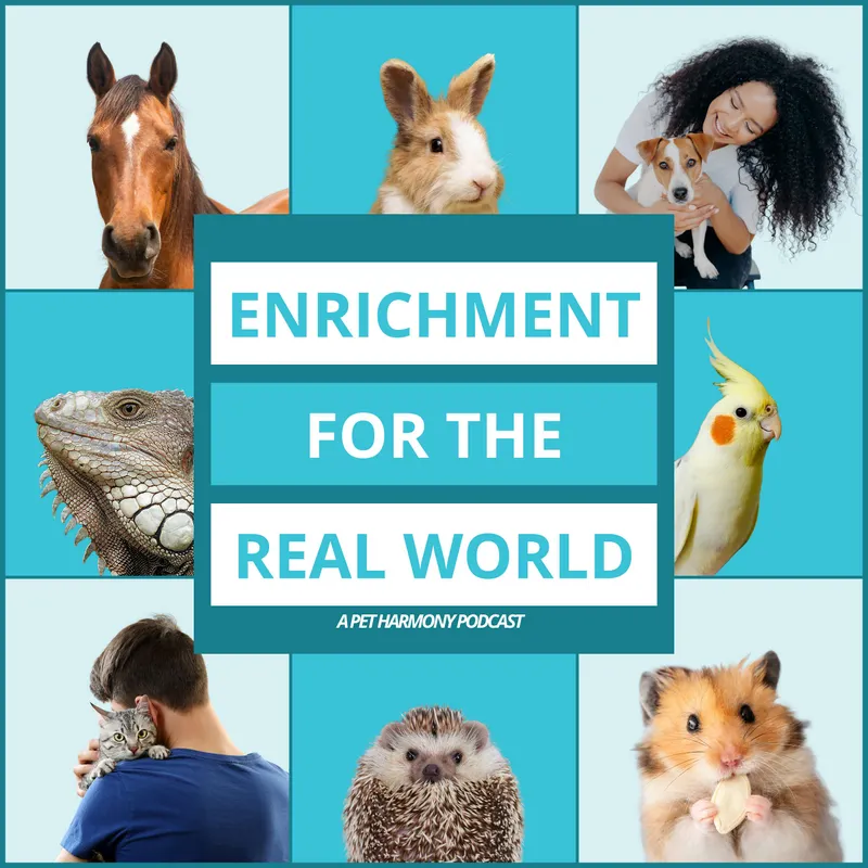 Enrichment for the Real World artwork
