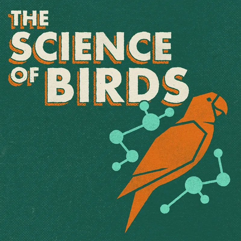 The Science of Birds artwork