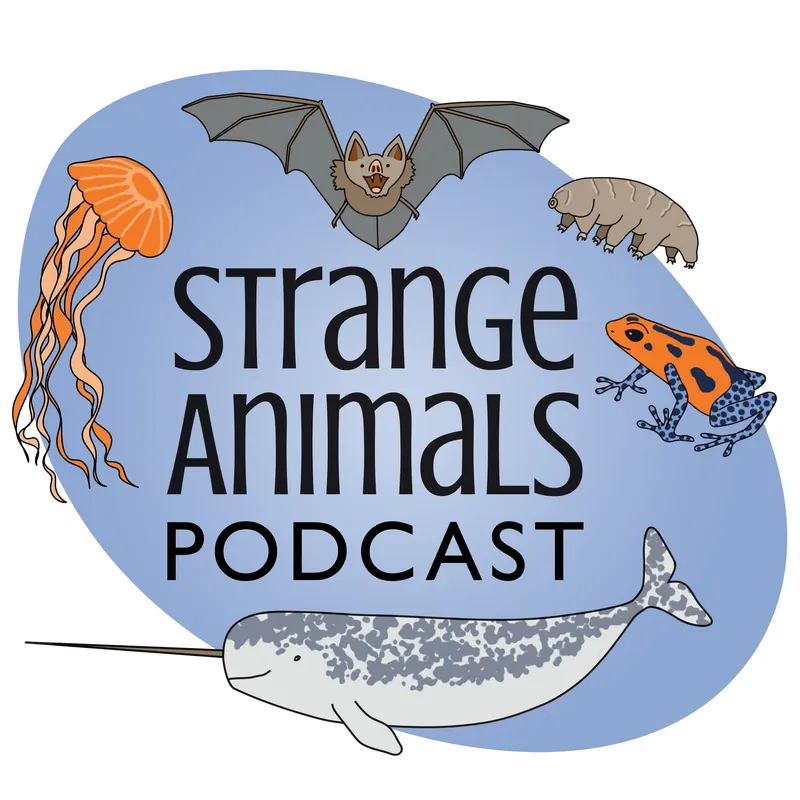 Strange Animals Podcast artwork